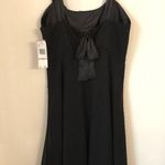 Evan Picone EVAN - PICONE Black Sheer Spotted over Satin Lining Dress Satin Straps 12 Photo 6