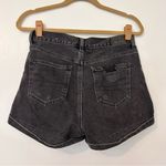 American Eagle  Distressed Mom Shorts Photo 1