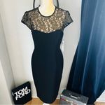 Maggy London Black Stretch Crepe Gold Lace Illusion Dress, Black, Size 8, NWT Photo 12