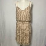 Adrianna Papell  Nude Sheer Art Deco Beaded Mesh Blouson Mini Dress size 12 Large Photo 1