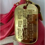 Juicy Couture Satin pink shoulder gold chain  Transparent Pocket In Front S -NWT Photo 1