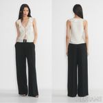 Aritzia NWT  Wilfred Tonka Satin Blouse Photo 1