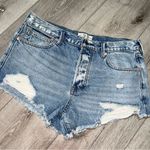 Free People Cutoff Denim Shorts Photo 0