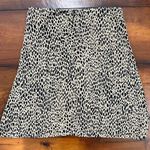 Brandy Melville  Skirt-Never Worn Photo 0