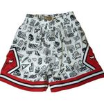 Mitchell & Ness  NBA doodle shorts Chicago bulls size large Photo 0