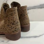 Coconuts by Matisse  | Women's Leopard Distressed Leather Pronto Booties Sz 6 Photo 3