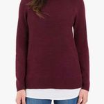 Hilary Radley Plum Cowl neck sweater. Photo 1