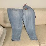 Disney Chip N Dale Plus Size Mom Jeans Photo 2