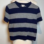 J.Crew  Navy and Gray Striped lambs wool Short Sleeve Tee Photo 0