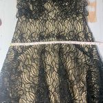 ACLER Burton Lace dress Black Size 6 Photo 8
