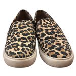 Steve Madden Safary Slip-On Sneakers Leopard Print Tan 6M Photo 1