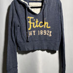 Abercrombie & Fitch Abercrombie‎ & Fitch NY 1892 Cropped Hoodie Sweatshirt Womens L Blue Yellow Y2K Photo 0