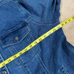 Diane Gilman NWT  Hand Painted Jean Jacket 2X Photo 2