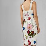 Ted Baker London | Amylia Berry Sundae Feminine Sophisticated Dress Size S (1) Photo 6