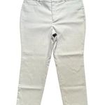 Banana Republic NWT  Factory Light Blue Striped Sloan Curvy Fit Pants Photo 0