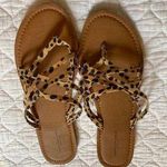 American Eagle Sandals Photo 0