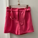 ZARA High Waisted Pink Shorts Photo 1