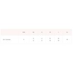 Free People NWT  Snow Angel Mini Slip/Black Combo Photo 9