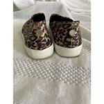 Steve Madden  Slip On Leopard Sneaker, Size 8M Photo 1