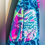 Lilly Pulitzer Bryant Pop Up Lilly's Party Patch A-Line Pleated Skirt Photo 6