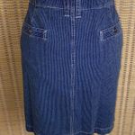 Liz Wear Denim Pinstriped A-Line Denim Skirt Photo 3