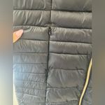 SAVE THE DUCK Photo 3