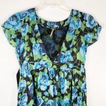 Free People Size 8 Dress Blue Roses Black Green Silk Lined Netted Ribbon Belt 555 Photo 2