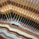 Simkhai Women’s Small Solana Polo Rib Knit Mini Dress Photo 1