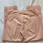 J.Crew  womens Pink Chino Pants Photo 2