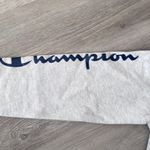 Champion Cropped Gray Hoodie Photo 2