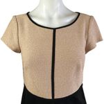 Ann Taylor  Tan Black Colorblock Short Sleeve Knee Length Sheath Dress Size S Photo 2