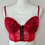 Daisy Fuentes Red Lace Bustier Photo 2