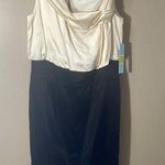 Antonio Melani NWT sz 8 Elegant Cream and Black Dress $189 Photo 0