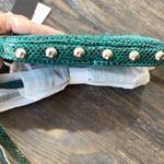 Aimee Kestenberg  Green Snake Embossed Leather Crossbody Bag with Silver Hardware Photo 5