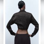 ZARA Women Black Polka Satin Effect Long Sleeves Bohemian V-Neck Tied Top Sz M Photo 2