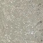 Teri Jon champagne silver and lace seethrough sparkle designer dress or overlay Tan Size 8 Photo 7