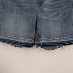 Banana Republic  Jean Shorts Size 28 Distressed Jean Shorts Photo 4