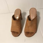 Stuart Weitzman suede mules slide blush open toe block heel size 5.5 Photo 2