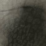 Ashley Stewart Ashley animal print black straight legs high rise Photo 2