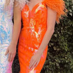 Alyce Paris  61331 Feather Sleeve Sequin prom dress WORN ONCE size - 4 Photo 0