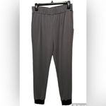 Arden B . Gray Jogger Pants Size Small Photo 2