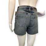 Treasure & Bond Foster Boyfriend High Rise  Denim Shorts Photo 1