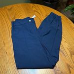 Lululemon Warpstreme HR 7/8 Joggers Size 28 Navy Pants Photo 0