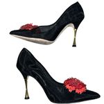 Manolo Blahnik Sohemias 105 Polka Dot Mesh Pumps Black With Flower Appliqué Photo 7