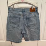Aritzia  Denim Forum The Joni Loose Long Short Photo 2