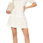 Peter Som  Collective Eyelet Mini Dress in White 6 Womens Backless Cut out Photo 0