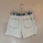 The Southern Shirt Company NWT Southern Shirt Co NYM Super Bleached shorts sz L Photo 1