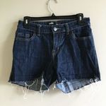 Urban Outfitters BDG Womens Sz 28 Distressed Frayed Hem Denim Short Photo 0
