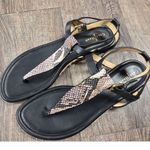 Cole Haan  New York Grove Thong Grove Sandals Black Python Flats Shoes 9.5B Photo 2