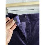 Carlisle  Women's Velour Purple Straight Leg Dress Pants Silk Lining Size 14 Photo 9